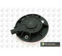 BGA OCV0116 Magnete centrale, Regolazione albero a camme per AUDI,SEAT,SKODA,VW