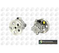 BGA Pompa Servosterzo Per Audi A4 8EC B7 8E2 B6 8D2 B5 8E5 8ED 8D5 8H7 PSP0135