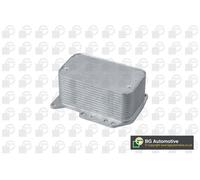 BGA Radiatore Olio Adatto A per Renault Master III Scatola Fv 2.3 DCI 150 RWD