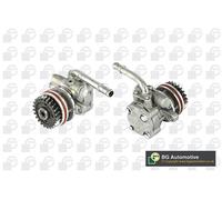 BGA Servopompa Per VW Transporter V Bus 7HB 7HJ 7EB 7EJ 7EF Multivan 2E_ PSP9635