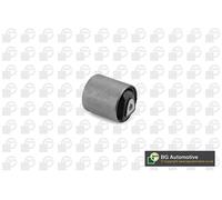 BGA Stabilizzatore Supporto Gommato Anteriore Sinistro Per BMW X5 E70 X6 E71 E72
