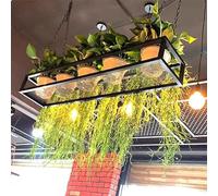 BGKASYHI Mensole da soffitto DCTPETHM - Mensole sospese per Fiori e Piante per finestre Interne - Portafiori per Montaggio a Parete e a soffitto - Portabottiglie per Bar, Giardino, Balcone