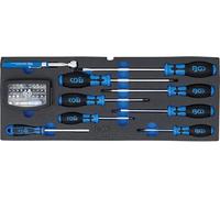 BGS Vassoio in schiuma per BGS 3312: cacciavite, set di punte e raccoglitore magnetico, 41 pezzi