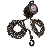 BGS Paranco a catena, altezza di sollevamento 2,5 m, 1 t Quantità:1