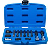 Bgs Technic Pro+ - Set Di 13 Punte Per Alternatori Da 1 / 5.1 cm