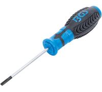 BGS 4929 | Cacciavite | taglio 4 mm | Lunghezza della lama 80 mm