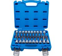 BGS 5170 | Serie di chiavi a bussola | 12,5 mm (1/2") | Esagono interno, profilo a T (per Torx), poligonale interno (per XZN) con testa sferica | 20 pz.