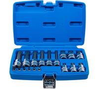 BGS 5172 | Set di inserti | azionamento quadrato interno 6,3 mm (1/4") / 12,5 mm (1/2") | Dente interno (per XZN) | 18 pezzi.