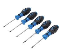 BGS Set di cacciaviti/Profilo a T (per Torx) con foro / T6 - T10 / 5 pezzi