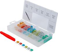 BGS 8109 | Assortimento fusibili autoveicoli | mini | 121 pz.