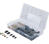 BGS - 8114 - Assortimento di dadi e viti per carrozzeria, 170 pezzi, morsetti per carrozzeria, in latta