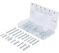 BGS 8137 | Assortimento bulloni di sicurezza | 60 pz.