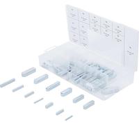 BGS, BGS-8141, Assortimento chiavette, 60 pezzi