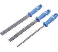 BGS Do it yourself Raspe per legno 200mm, 3pz. Quantità:1