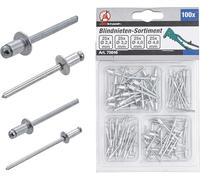 BGS Diy 75846 | Assortimento rivetti ciechi | Ø 2,4 - 4,8 mm | 100 pezzi