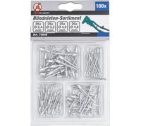 BGS Diy 75846 | Assortimento rivetti ciechi | Ø 2,4 - 4,8 mm | 100 pezzi - NU