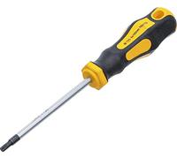 BGS Diy 7844-T25 | Cacciavite | profilo a T (per Torx) T25 | Lunghezza della lama 100 mm