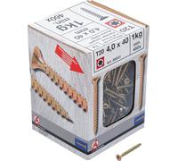 BGS Diy 88023 Viti multiuso con profilo a T (per Torx) T20, 4,0 x 40 mm, 1 kg, 460 pezzi