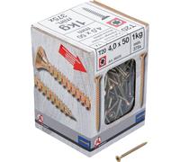BGS Diy 88025 Viti multiuso, profilo a T (per Torx) T20, 4,0 x 50 mm, 1 kg, 375 pezzi