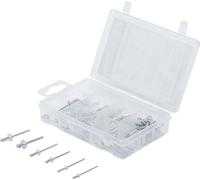 Forza uomo rivetti ciechi assortimento, 70 pezzi, 88142