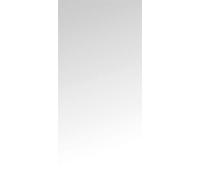 BGS Foglio/Sfoglia protettivo/a 8841-3