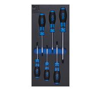 BGS Inserto per carrello da officina 1/3: cacciavite con profilo a T (per TX), 6pz. Quantità:1