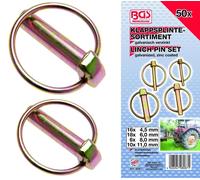BGS Klappsplinten Assortimento 50 Pezzi 8087