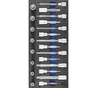 BGS Officine Mobili Inserti 1/3: Bit-Einsatz-Satz Innenvielzahn (per Xzn ) 22-t