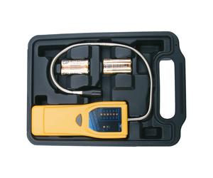 BGS Rivelatore di gas Quantità:1