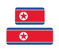 BGSHJVF Set di 2 tappetini da cucina con stampa bandiera coreana, lavabili, per la decorazione della casa, accessori da cucina