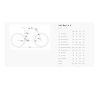 Bh Bicicletta Da Mtb Lynx Race 4.0 29´´ Xt 8100 12s 2026 CCC