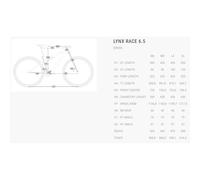 Bici BH Lynx Race 6.5 2026 CHAMPAGNE M