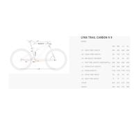 Bici BH Lynx Trail Carbon 9.9 ARANCIA S