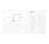 Bicicletta BH RS1 4.0 2026 ARGENTO M