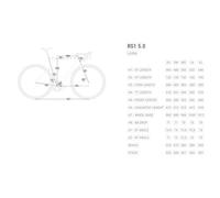 Bicicletta BH RS1 5.5 Planck Light 2026 ARGENTO XS