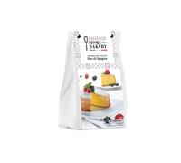 BHB Preparato per Pan di Spagna Senza Glutine 400G - Babbi Home Bakery