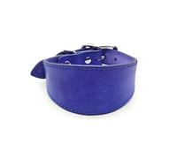 BHFYOB Collare imbottito morbido in pelle per cani whippets salukis levrieri collare regolabile per cani di grande razza