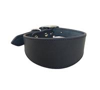 BHFYOB Collare per cani in pelle morbido imbottito collare per Whippet Salukis levrieri collare regolabile per cani di taglia grande