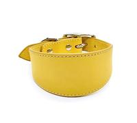 BHFYOB Collare per cani in pelle morbido imbottito collare per Whippet Salukis levrieri collare regolabile per cani di taglia grande