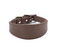 BHFYOB Leathers - Collare per cani con imbottitura morbida, per whippet, salukis, levrieri, collare regolabile per razze di grandi dimensioni