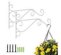 Bhina 2 Pezzi Gancio per Piante da Parete, Staffe per Cestini Sospesi, Gancio per Cesto di Fiori con Viti, Usate per Appendere Lanterne, Luci Notturne, Piante, Campanelli Eolici, Bianca