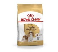 BHN CAVALIER KING CHAR AD1,5KG