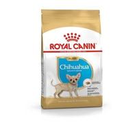 BHN CHIHUAHUA PUPPY 500G