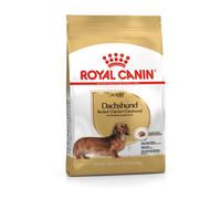 BHN DACHSHUND ADULT 1,5KG