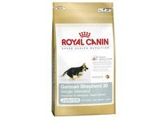 BHN GERMAN SHEPHERD PUPPY 12KG