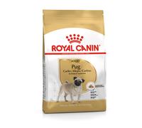 BHN PUG ADULT 1,5KG