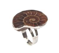 BHUEHSS - Anello regolabile unico alla moda con ammonite naturale Reliquiae, anello da dito con conchiglie fossili naturali, per donne e ragazze, See picture for size, lumaca fossile naturale