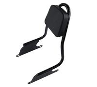 BHYYDS Per B&MW R18B 2020-2024 Schienale Sissy Bar Posteriore Per Moto Schienalino Per Moto(Bright Black)
