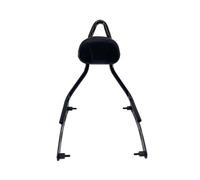 BHYYDS Per Indian Chief Bobber Dark Horse 2022 2023 Schienale Posteriore Passeggero Per Moto Schienalino Per Moto(Black B)