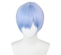 bi bi hou Himmel Cosplay Parrucca Blu 30cm Lungo Anime Frieren at the Funeral Cosplay Himmel Wig Natale Halloween Carnevale Party Performance Costume Accessori Anime Parrucca Adulti